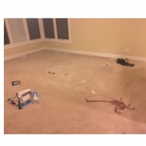 Photo of Advance Carpet Cleaning