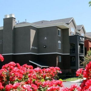 Photo of Palladio