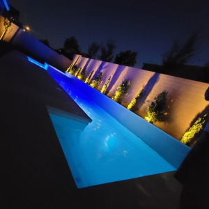 Photo of NASA Pool Service
