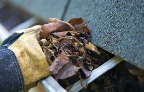 Photo of Good Looking Glass Cleaning Services