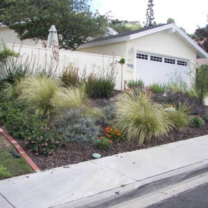 Photo of Sanchez Landscaping Service