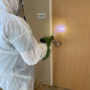 Photo of Natural Solutions Cleaning Services