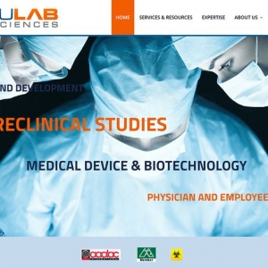 Photo of Website Service 4 All