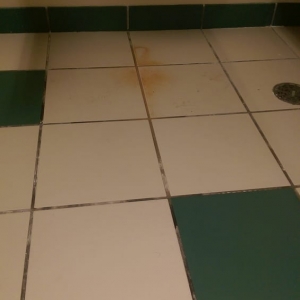 Photo of Back to New Tile & Grout