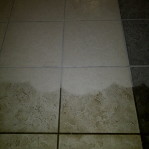Photo of Back to New Tile & Grout