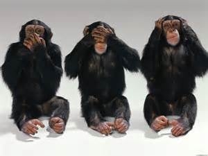 Photo of Cybernet Promotions