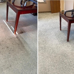 Photo of Magna-Dry Carpet & Upholstery