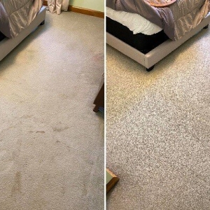 Batesville Magna-Dry Carpet & Upholstery