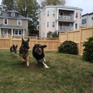 Photo of Amazing Fence Co