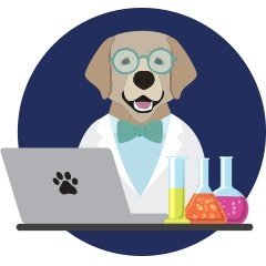 Photo of LAB Digital Creative