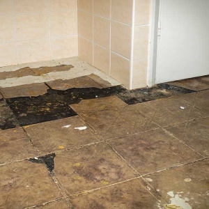 Photo of Horizon Water Damage & Restoration