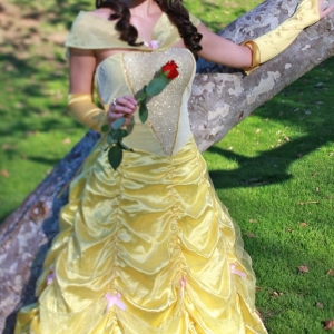 Photo of The Princess Party
