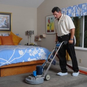 Photo of Prestige Carpet & Upholstery Cleaning
