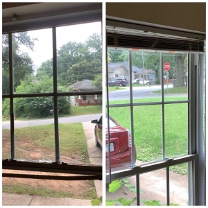 Photo of Gladiator Glass