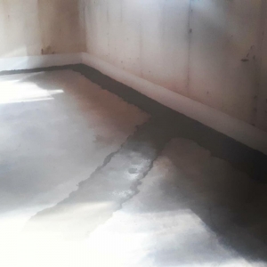 Grosse Pointe Woods Solid Solutions