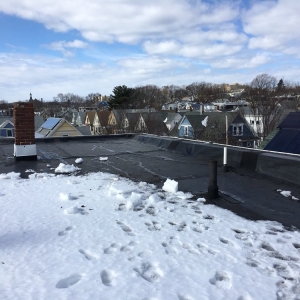 Photo of Susi & Sons Roofing