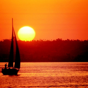 Photo of Lake Murray Specialist