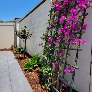 Photo of F G Landscape Construction