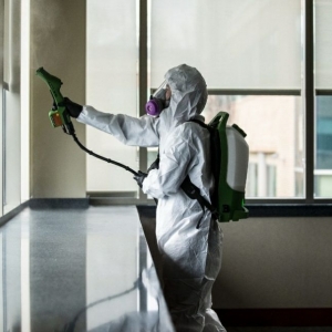 Photo of Lagniappe Sanitizing Service