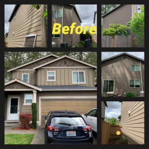 Bellevue Pro Masters Painting