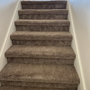 Photo of Sunrise Carpet Cleaning