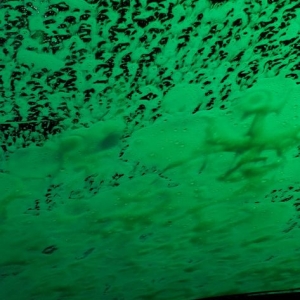 Photo of Busy Bee Car Wash