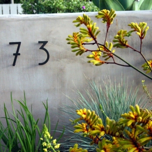 Photo of Carson Douglas Landscape Architecture