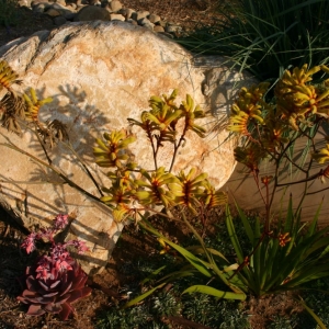 Photo of Carson Douglas Landscape Architecture