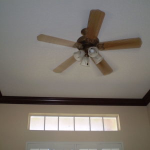 Photo of Sparkle Ceilings