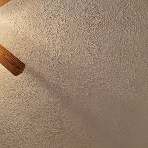 Photo of Sparkle Ceilings