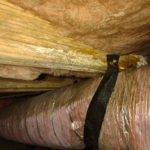 Photo of Underworld Encapsulation