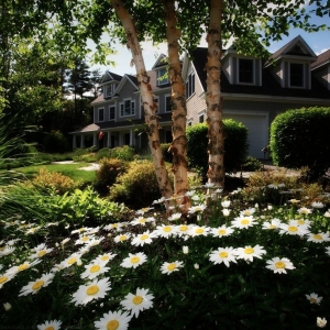 Photo of Island Landscaping and Lawn Service