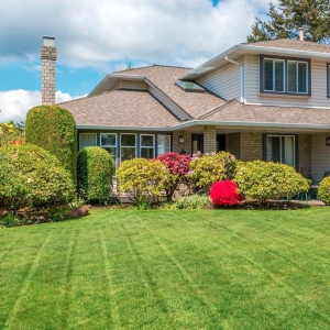 Photo of Island Landscaping and Lawn Service