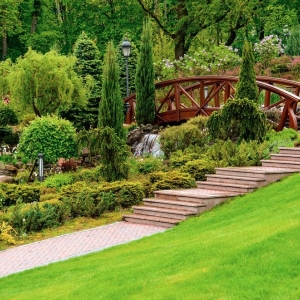 Photo of Island Landscaping and Lawn Service