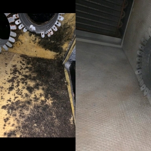 Photo of Green Air Duct Cleaning