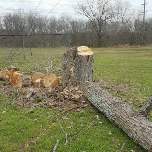 Photo of Texas Legend Lawn & Landscaping Services