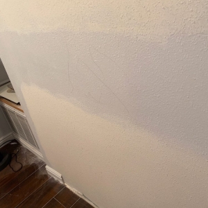 Photo of MB Trusted Painters and Services