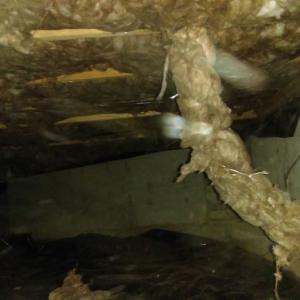 Photo of Echo Energy