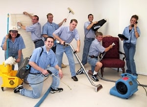 Laurel Green Clean Choice