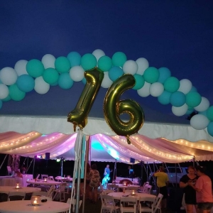 Photo of All Event Party Rental & Supplies