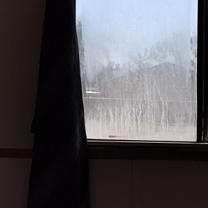 Photo of BLM Shower Glass And Windows