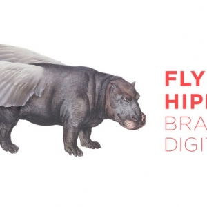 Photo of Flying Hippo