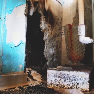 Photo of Good Times Restoration