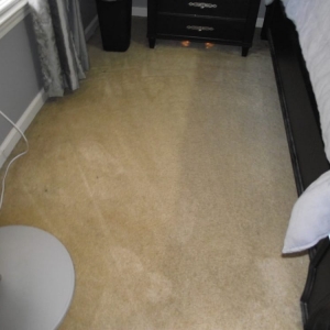 Photo of Tiger Paws Carpet & Upholstery Cleaning