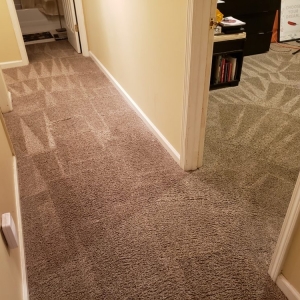 Photo of Tiger Paws Carpet & Upholstery Cleaning