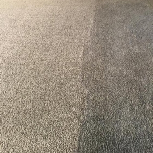 Photo of Tiger Paws Carpet & Upholstery Cleaning