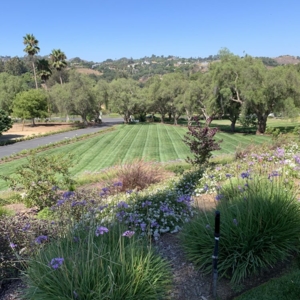 Photo of A B Landscape