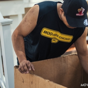 Photo of Moovers Chicago