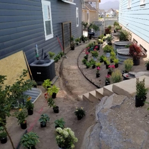 Photo of Rollins Landscaping