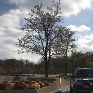 Photo of Regus - Central Park of Lisle